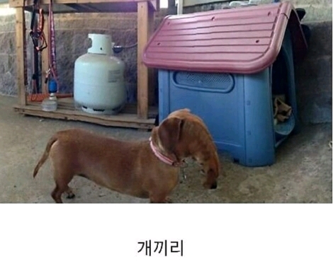 파노라마 사진 대참사 | 인스티즈