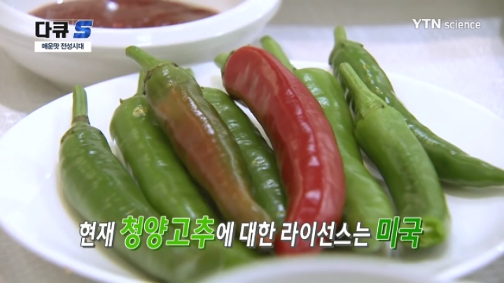 먹을때마다 돈 내야하는 음식 | 인스티즈