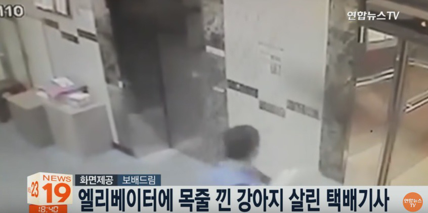 엘리베이터에 목줄 낀 강아지 살린 택배기사님.jpgif | 인스티즈