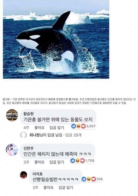 동물이랑 싸워서 이기는 법 | 인스티즈