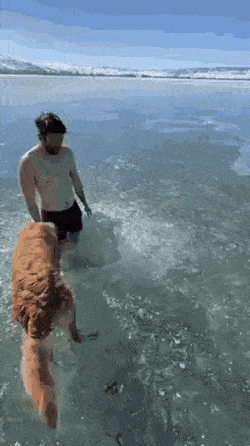 목숨을 건 잠수.gif | 인스티즈