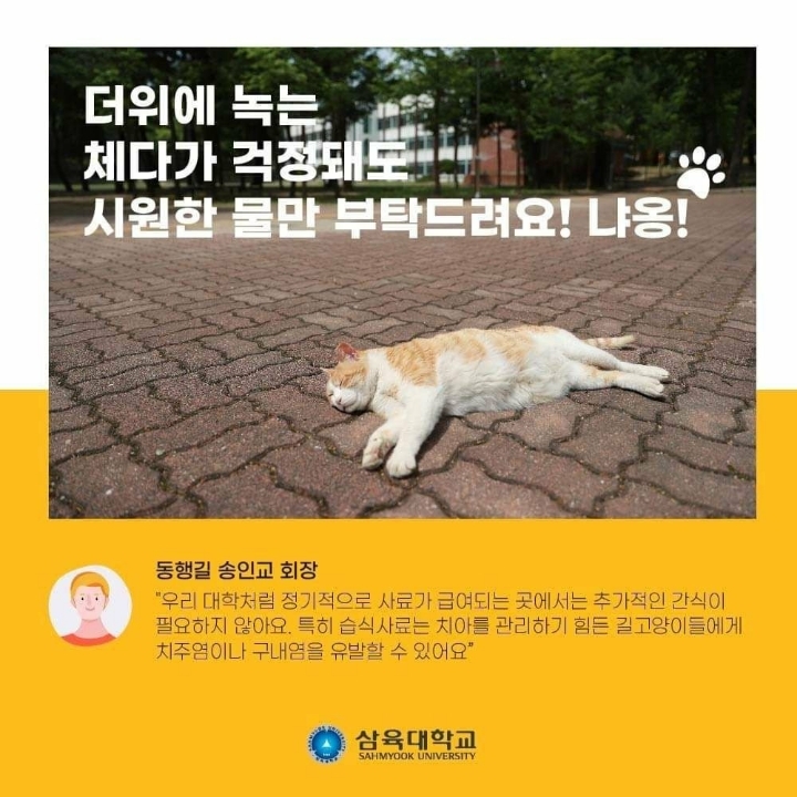 고양이 출입 금지시킨 대학교 .JPG | 인스티즈