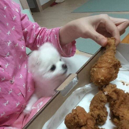 ???: 야야 그거 한입 먹는다고 죽냐 ㅋㅋㅋ | 인스티즈