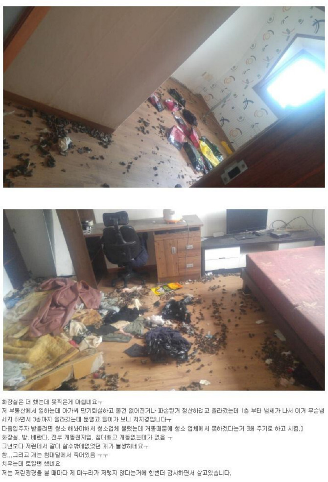 쓰레기통 모음.jpg | 인스티즈