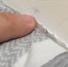 모기 새끼 다양하게 고문하는 모기 갤러리.jpgif | 인스티즈