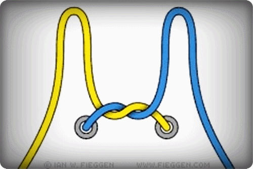 신발끈 안풀리게 묶는법!!!!!!!!!! | 인스티즈