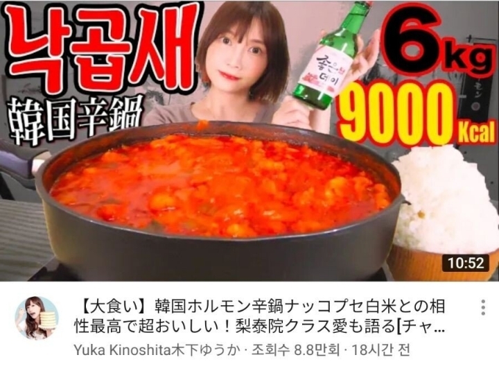 낙곱새에 쐬주 때린 일본 유투버의 고정 댓글 | 인스티즈