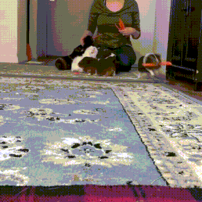 차비받고 퇴근하는 예비군 | 인스티즈