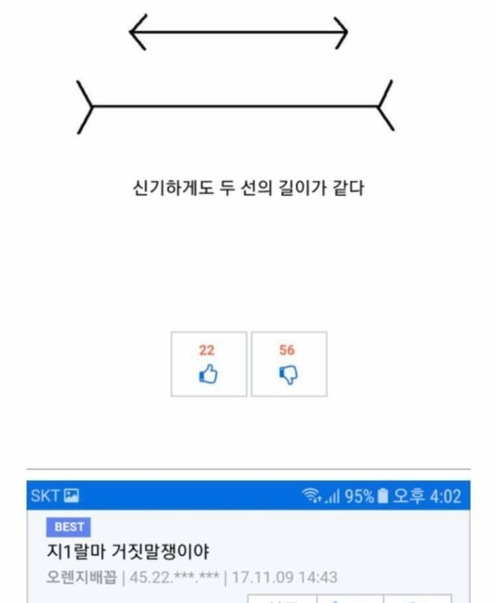 신기하게도 두 선의 길이가 같다 | 인스티즈
