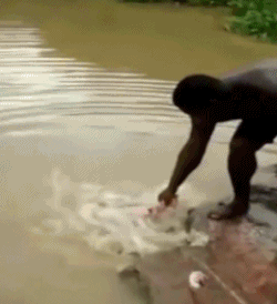 상남자식 낚시법.gif | 인스티즈