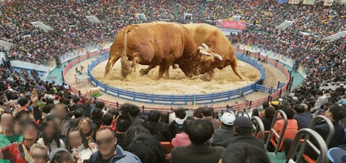 서울사람들이 잘 모르는것 | 인스티즈