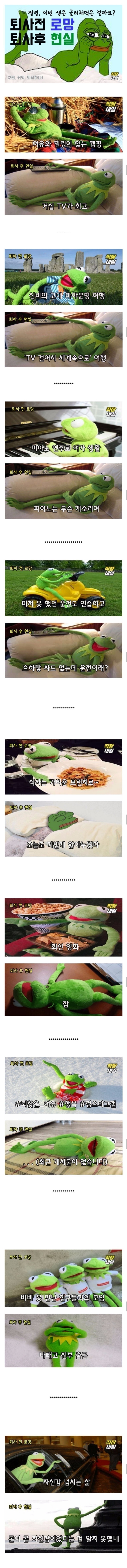 퇴사전 로망과 퇴사후 현실 | 인스티즈