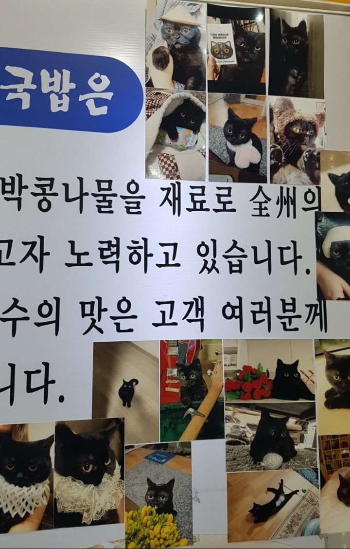 냥이 자랑하는 국밥집 사장님 | 인스티즈