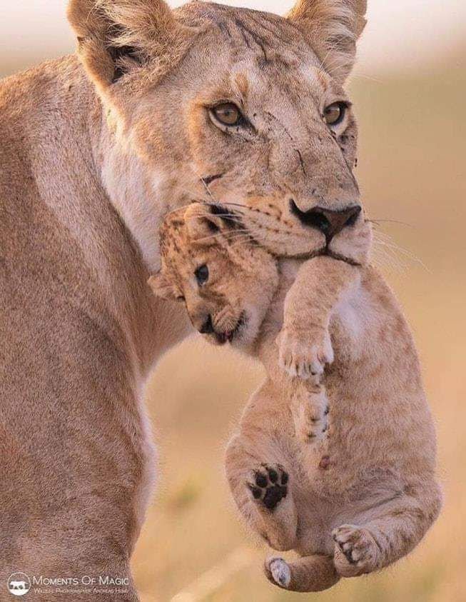 봉인당한 강호동 | 인스티즈