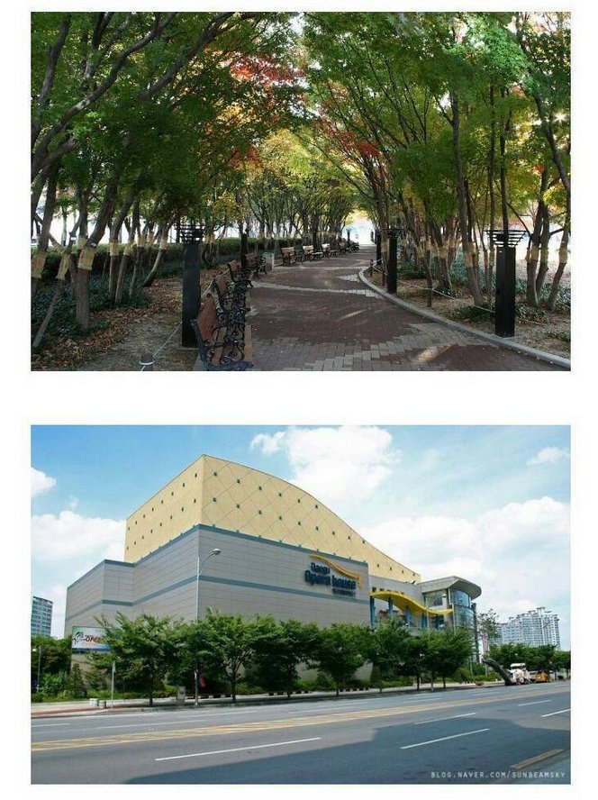 서울 부산 다음 대한민국 제3의 도시 하면 가장 먼저 떠오르는 도시는?? | 인스티즈