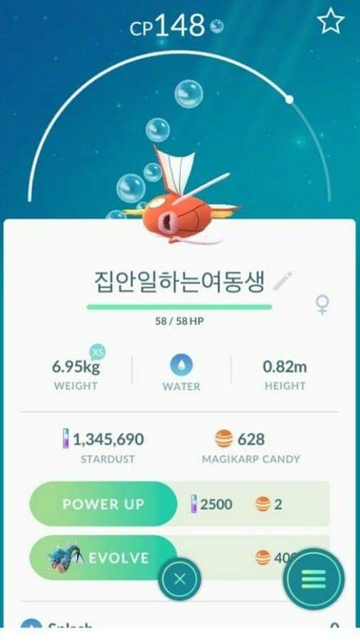 여동생을 포켓몬으로 비유 | 인스티즈