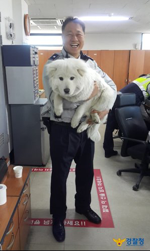 버려진 아기 강아지 주워서 기른 경찰들.jpg | 인스티즈