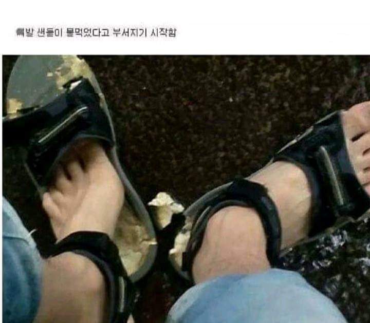 장마철에 싼 샌들사면 안되는이유 | 인스티즈