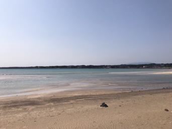 제주도 여행지 리뷰 | 인스티즈