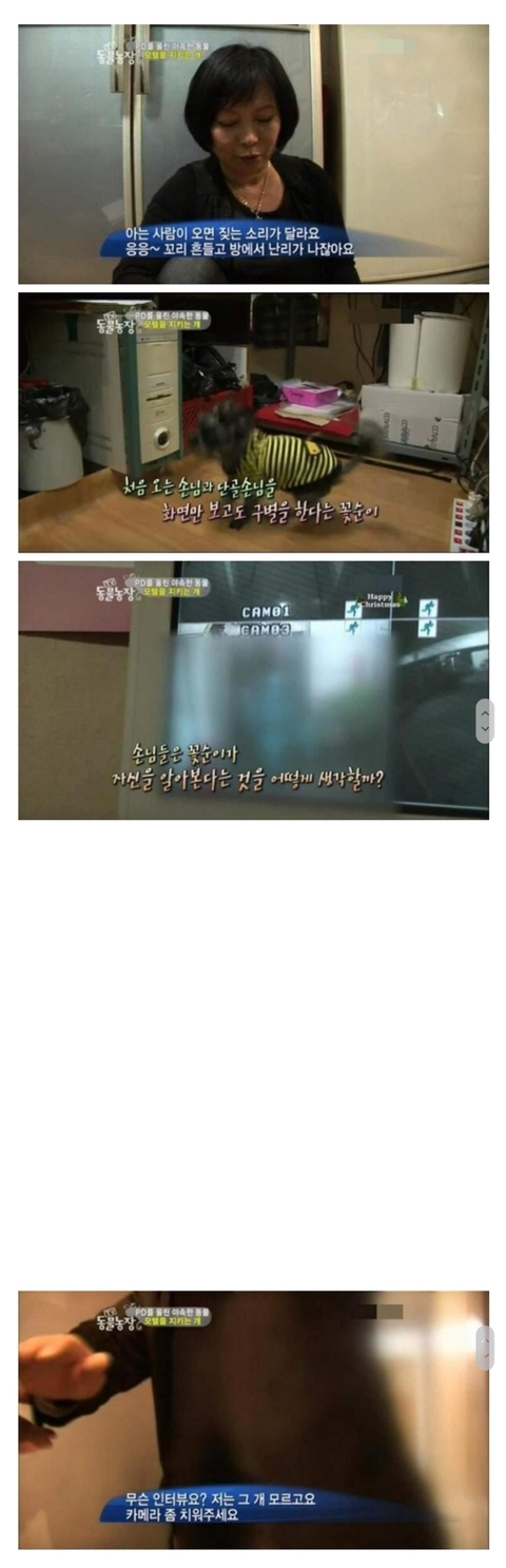 단골을 알아보는 강아지.JPG | 인스티즈
