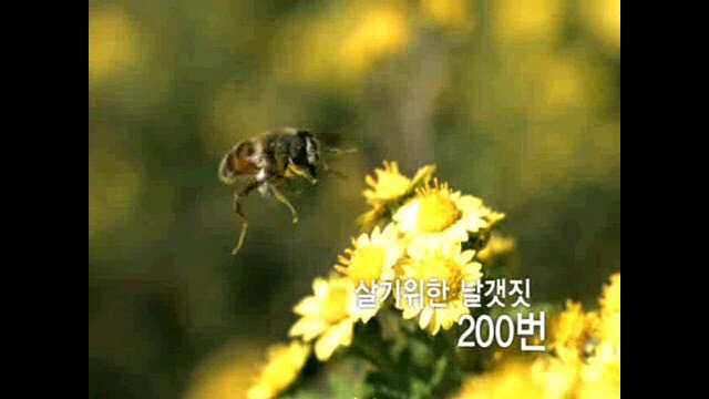 1초 동안 우주에서 벌어지는 일 | 인스티즈