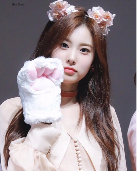 더쿠 사쿠라의 아이즈원 소개 | 인스티즈