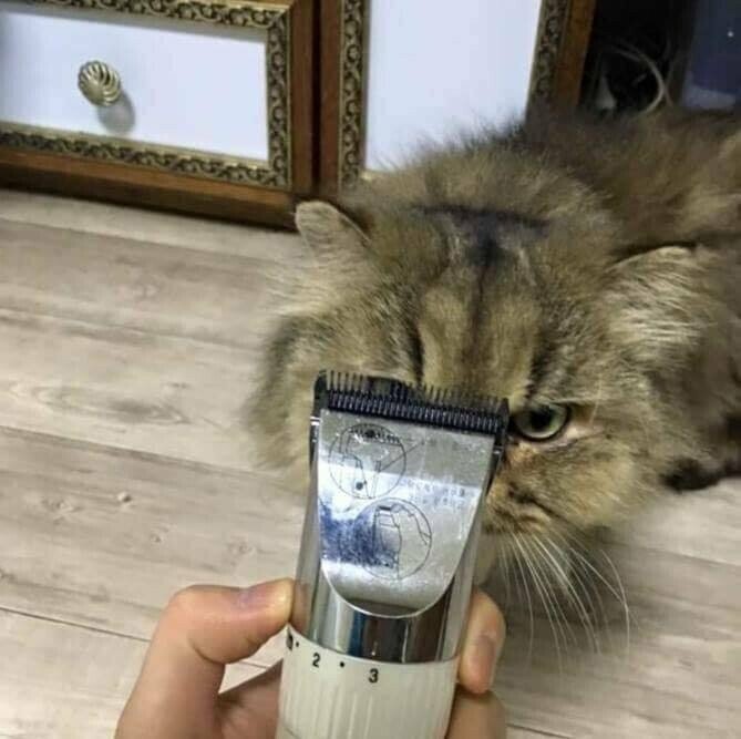 미용천하 이미지