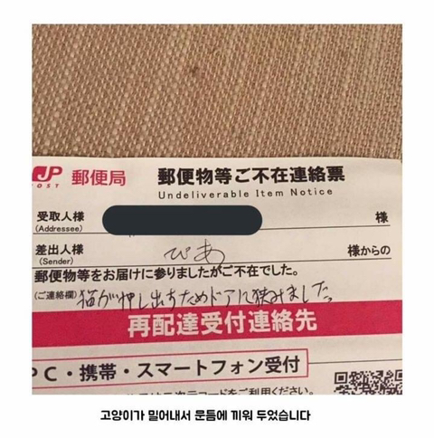 우편배달에 실패한 이유 | 인스티즈