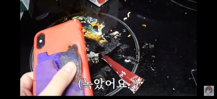 인덕션에 아이폰 녹여버린 유튜버 | 인스티즈