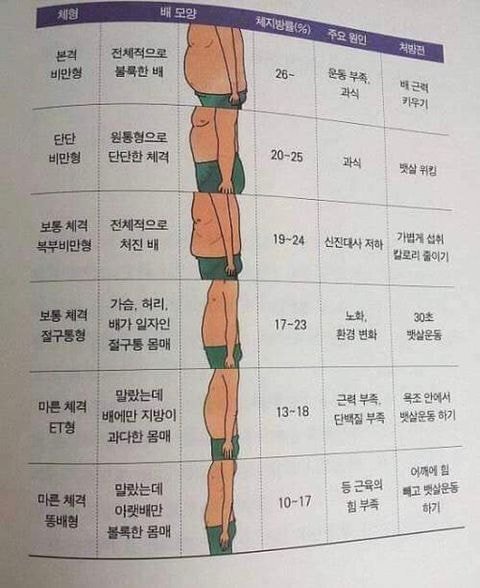 요새 뱃살 이런사람 많음 | 인스티즈