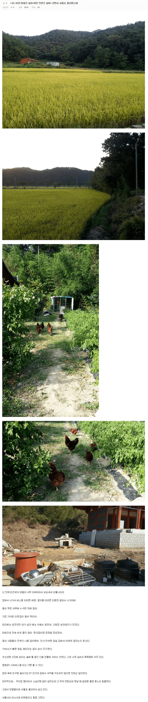 너의 이름은 보고 공감한 시골 사람......JPG | 인스티즈