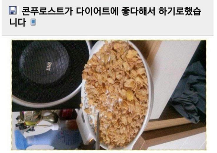 다이어트에 실패하는 이유 | 인스티즈