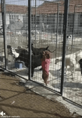 노력이 재능을 이기지 못하는 이유.gif | 인스티즈