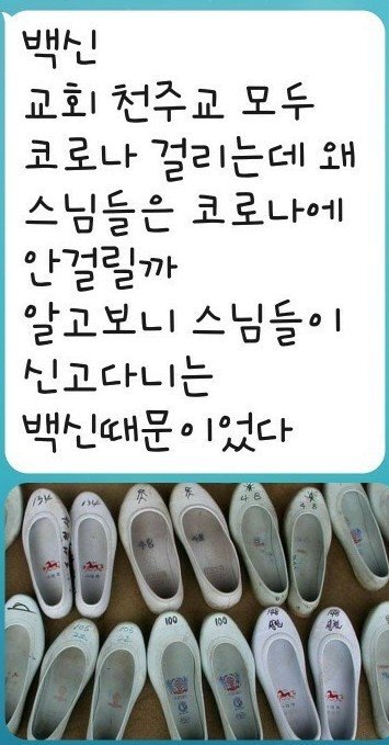 스님들이 코로나 안걸리는이유 | 인스티즈