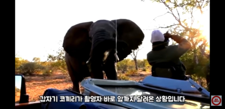 진짜 죽을지도 모르는 공포 속에서 미동도 못한 30초.jpgif | 인스티즈