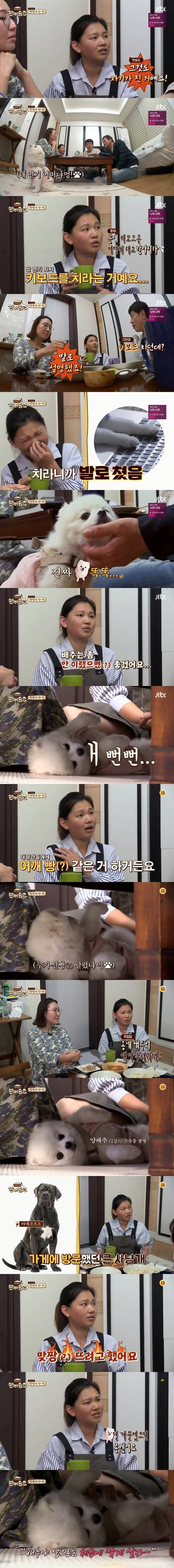 한끼줍쇼에 나온 핵짱귀 댕댕이...양배추.JPG | 인스티즈