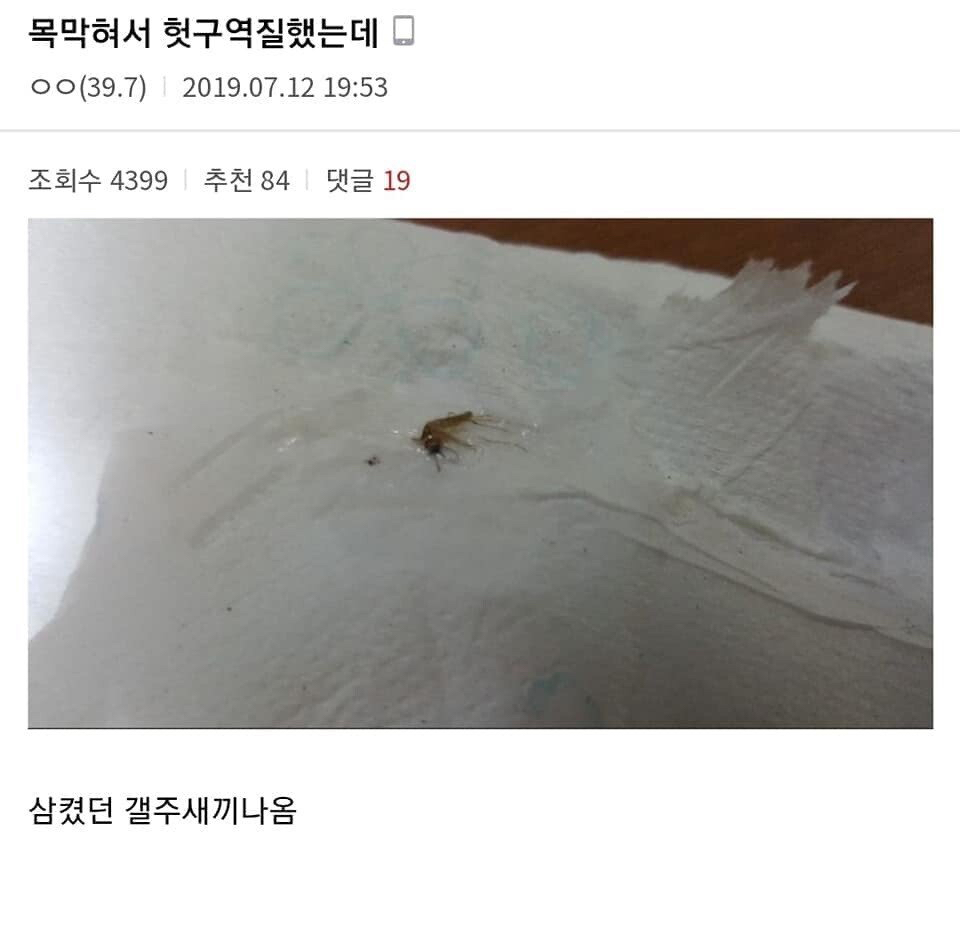 모기 새끼 다양하게 고문하는 모기 갤러리.jpgif | 인스티즈