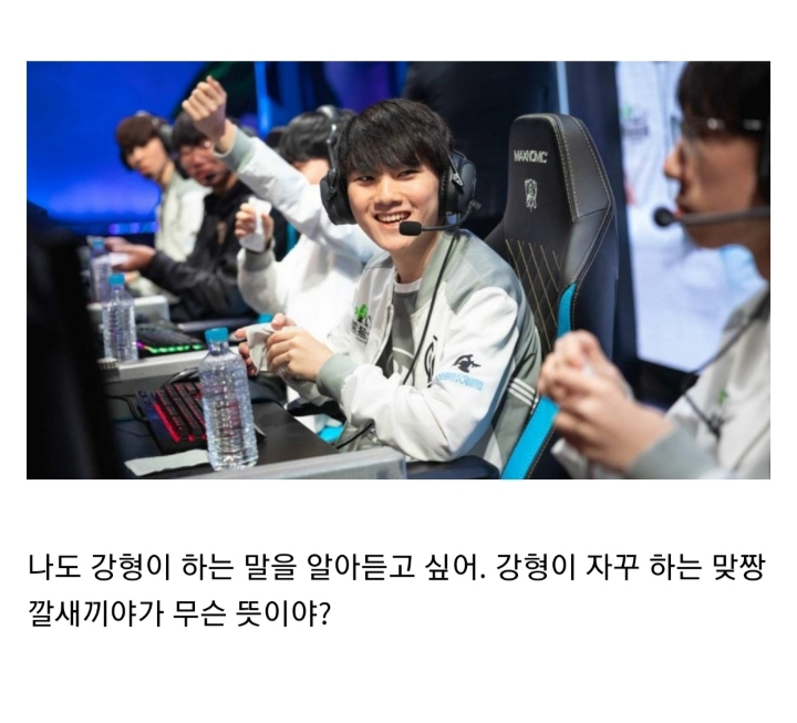 ??? : 송형, 맞짱깔새끼야가 무슨 뜻이야? | 인스티즈