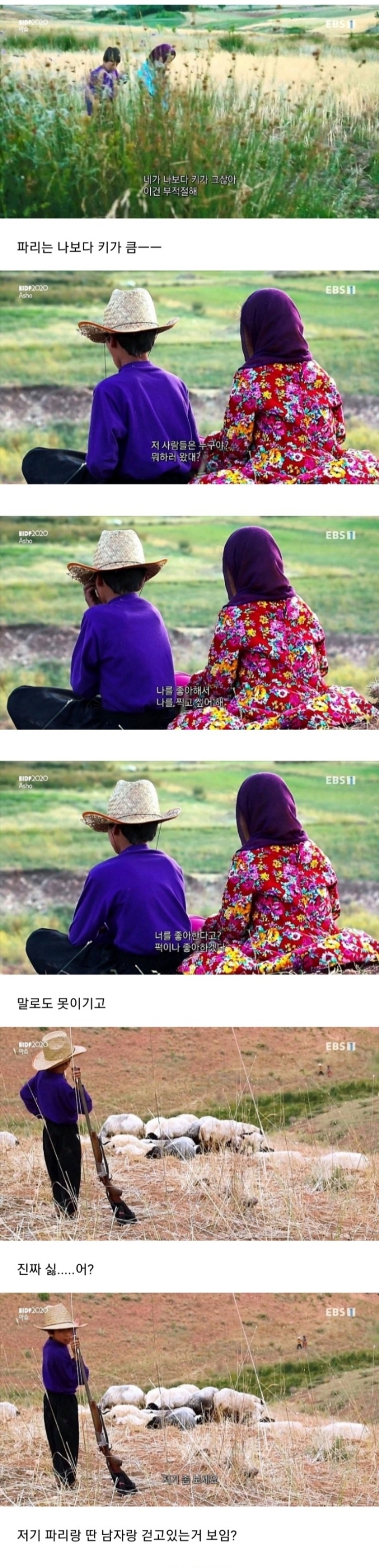 저는 제 약혼녀가 싫어요 | 인스티즈