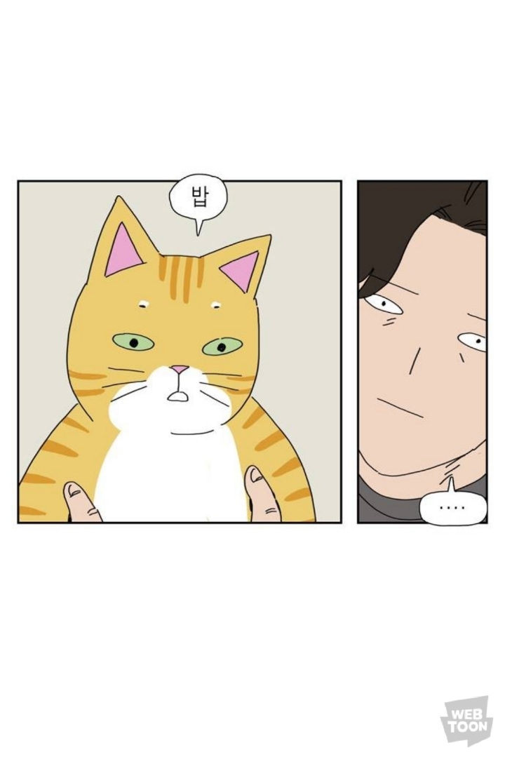 애완동물 키우면 매일 비슷한 시간에 깨는 이유.jpg | 인스티즈