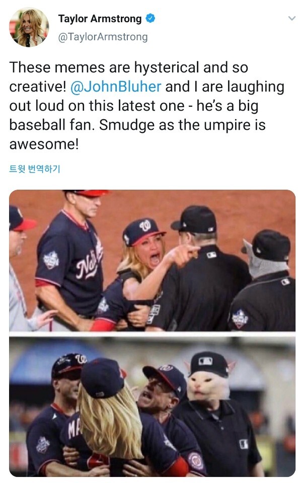 고양이에게 소리지르는 여자 근황 | 인스티즈