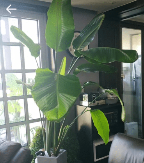 우당탕탕 당근마켓 모음.jpg | 인스티즈