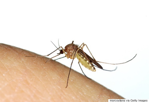 그렇게 꺼지라고 했는데 막상 안보이니 아쉬운 새끼 | 인스티즈