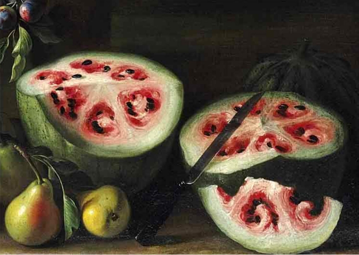 인간이 개량해서 먹는 식물들의 원래 모습.jpg | 인스티즈