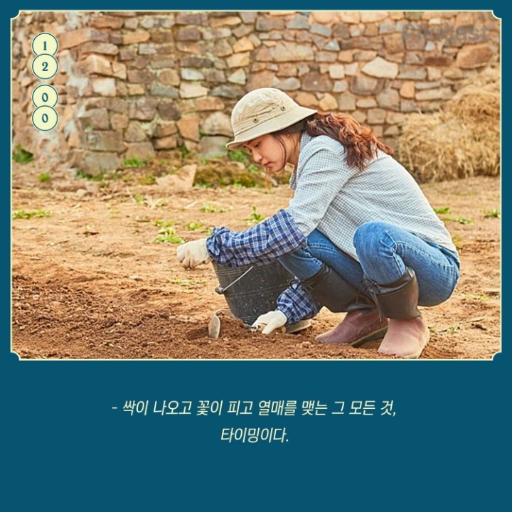 리틀포레스트 명대사들 | 인스티즈