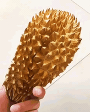 두리안 냄새맡은 댕댕이와 냥이 반응 | 인스티즈