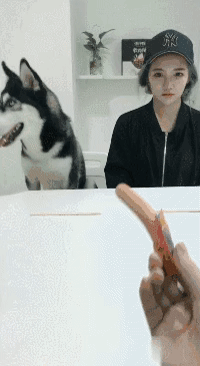 강아지에게 소세지를 먹이는... | 인스티즈