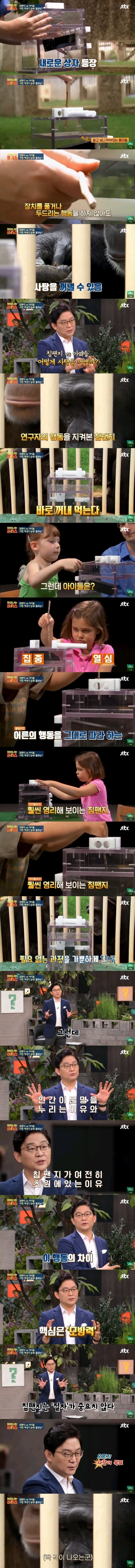 인간과 유인원의 차이.jpg | 인스티즈