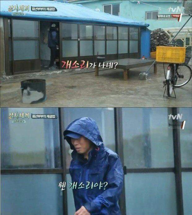 직장상사에게 보내기 좋은짤 | 인스티즈