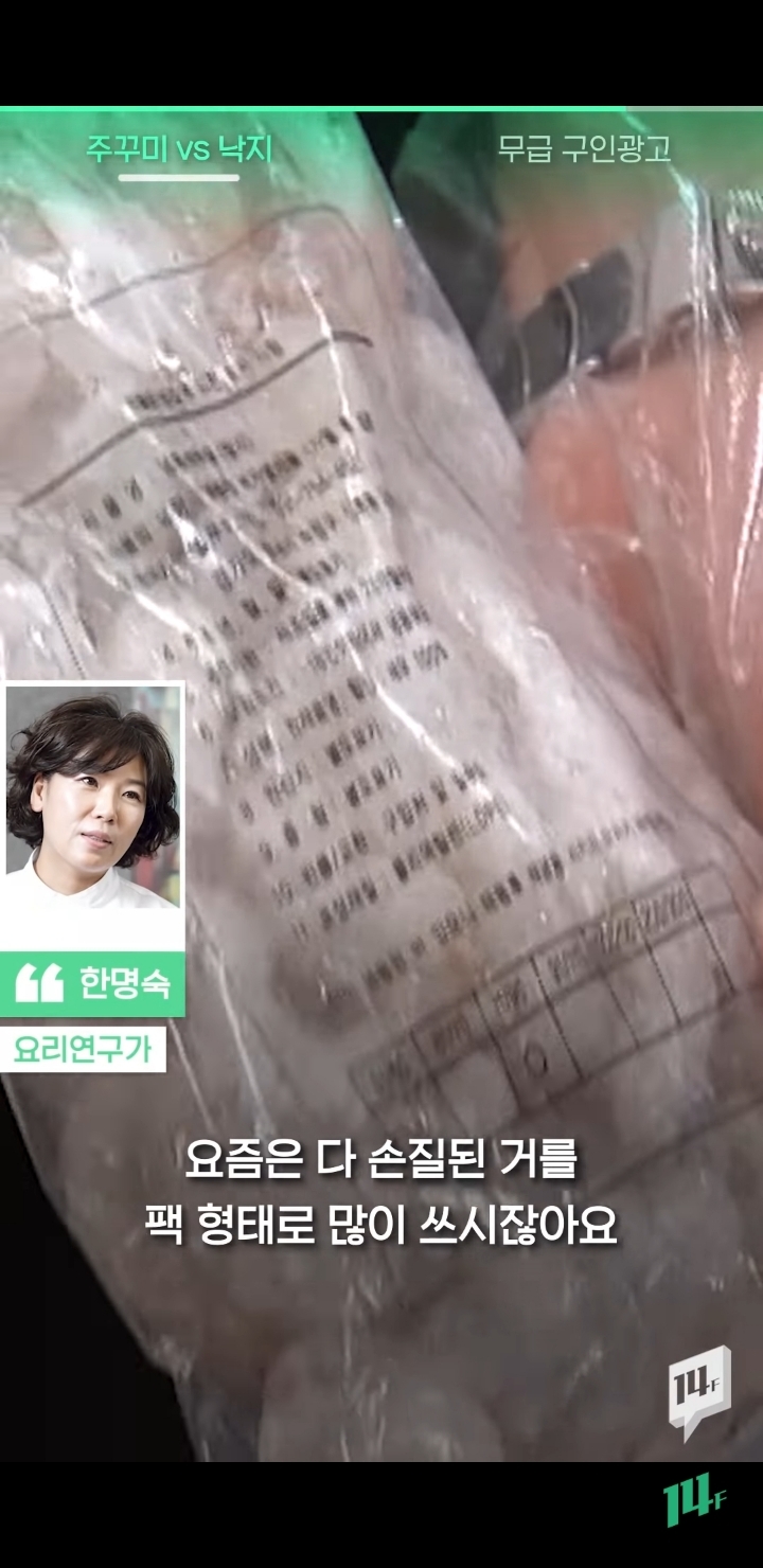 얼마전 낙지냐 쭈꾸미냐 논쟁의 전문가 의견 | 인스티즈